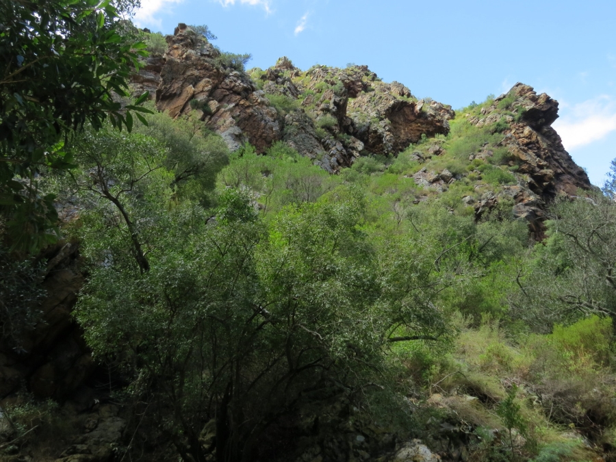 16 Bedroom Property for Sale in Robertson Rural Western Cape